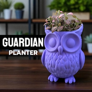 May include: A purple owl-shaped planter with a textured surface, holding a small plant with pink and green leaves. The planter has large, round eyes and a beak. The text "GUARDIAN PLANTER" is displayed in a black rectangle.