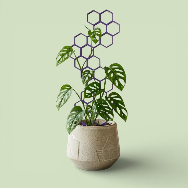Modular Plant Trellis: 3D Printed Indoor Plant Support image 2