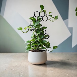 Modular Plant Trellis: 3D Printed Indoor Plant Support image 6