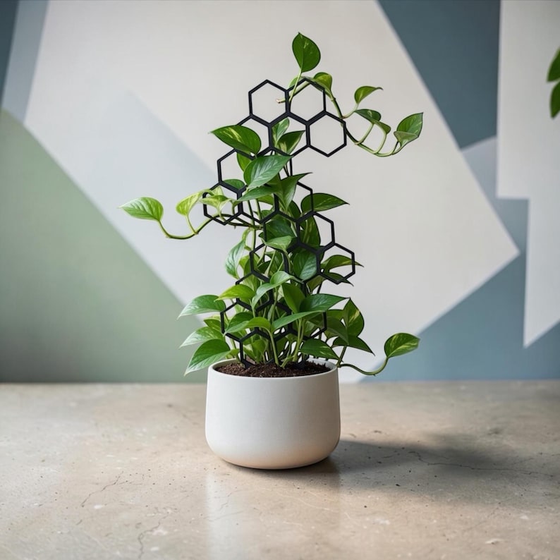Modular Plant Trellis: 3D Printed Indoor Plant Support image 6