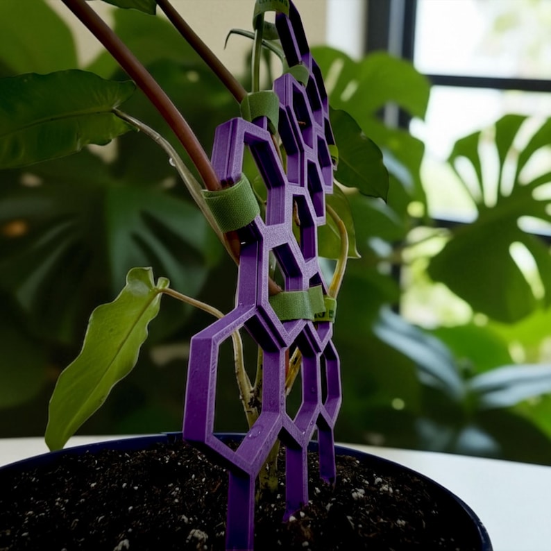 Modular Plant Trellis: 3D Printed Indoor Plant Support image 10