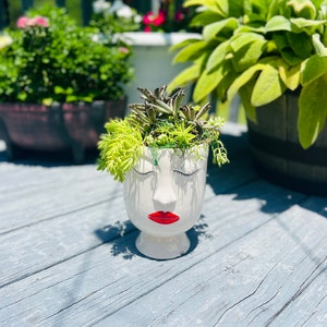 Red Lip Lady Succulent Pot
