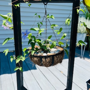 Rustic Hanging Plant Stand