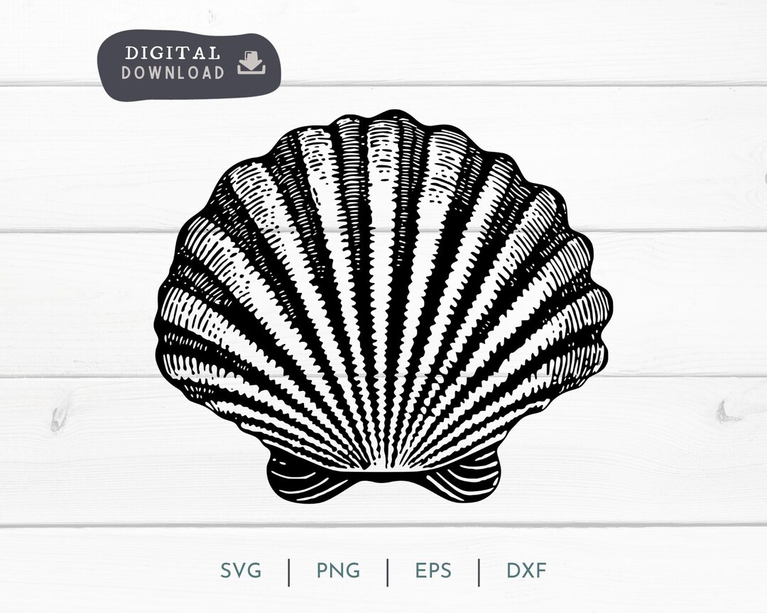 Sea Shell Instant Download SVG PNG, Sea, Clam and Beach Digital EPS - Etsy