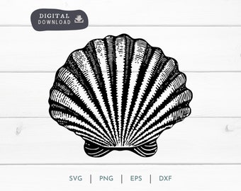 Sea Shell Instant Download SVG PNG, zee, Clam en strand digitale EPS