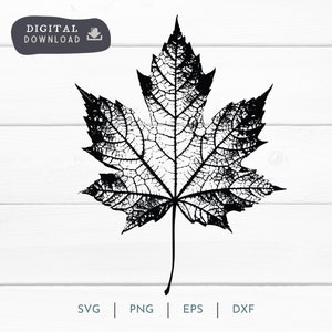 Fall Maple Leaf SVG PNG EPS, Fall Leaves Clipart Digital Download