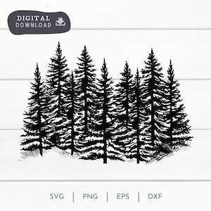 Arbres à feuilles persistantes Automne Forêt Téléchargement instantané SVG PNG, Forêt Pin Arbres à feuilles persistantes SVG, Écureuil Clipart