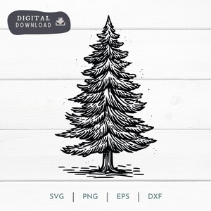 Arbre à feuilles persistantes SVG PNG EPS, Automne Hiver Arbre Clipart Téléchargement numérique