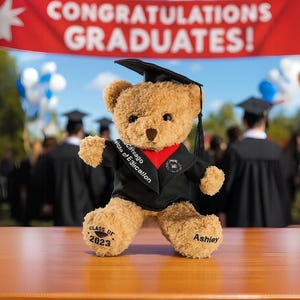 Abschluss-Teddybär mit kundenspezifischem Schulabzeichen + Abschlusstitel, Plüschbär mit Doktorhut, personalisierter Abschluss-Plüschbär mit grad Hut