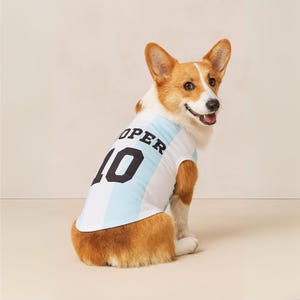 Custom Name Jersey for Pet, Name Number Printed Dog/Cat Shirt, Puppy Clothing, Dog Outfit, Dog Tee Gift for Football Lovers/Sports Fans