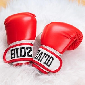 Custom Emroidered Baby Boxing Gloves, Baby/Toddler Leather Boxing Gloves with Embroidered Name, Daughter/Son of a Boxer Gift