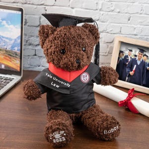 Abschluss-Plüschbär mit kundenspezifischem Schulabzeichen + Abschlusstitel, Teddybär mit Doktorhut, personalisierter Abschluss-Plüschbär mit Abschlusshut