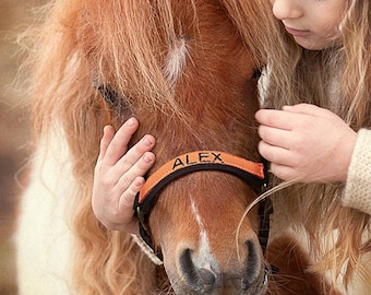 Bridon de cheval orné d'un prénom personnalisé, licol/bride/harnais de cheval brodé avec prénom, sellerie personnalisée, cadeaux équestres/cheval/poney