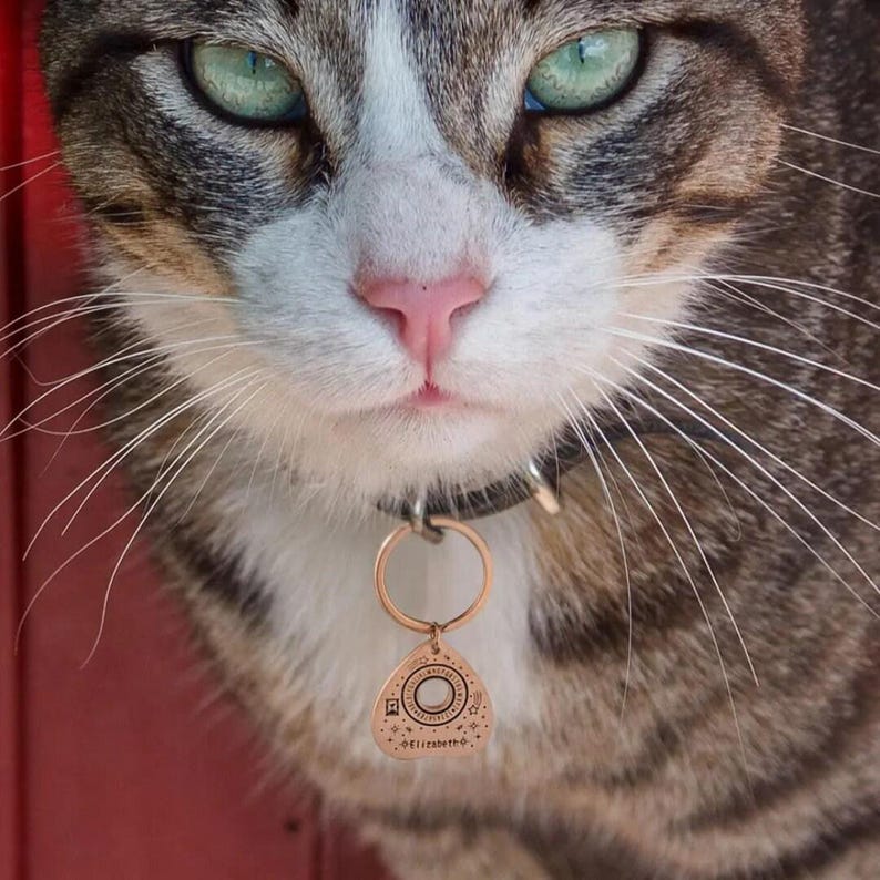 Pet ID Tag with Custom Name, Stainless Steel Ouija Planchette Pet/Cat Tag, Tiny Witchy Cat Collar Charm, Spiritual Cat Owner Gift image 2