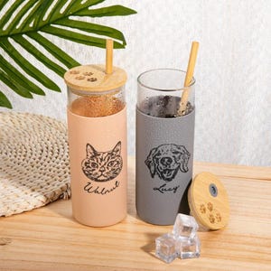 Vaso con retrato de mascota personalizado: vaso de vidrio personalizado con funda de silicona, tapa de bambú y pajita, regalo para amantes de las mascotas. Ilustración de mascota personalizada.