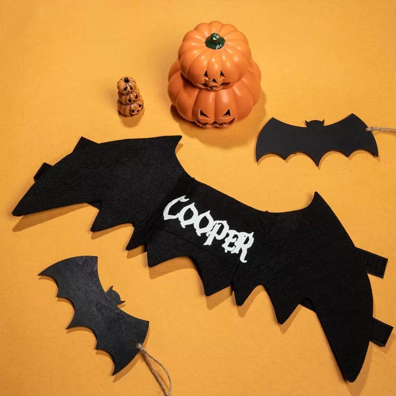 Halloween Pet Costume