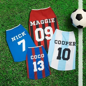 Custom Name Jersey for Pet, Name Number Printed Dog/Cat Shirt, Puppy Clothing, Dog Outfit, Dog Tee Gift for Football Lovers/Sports Fans