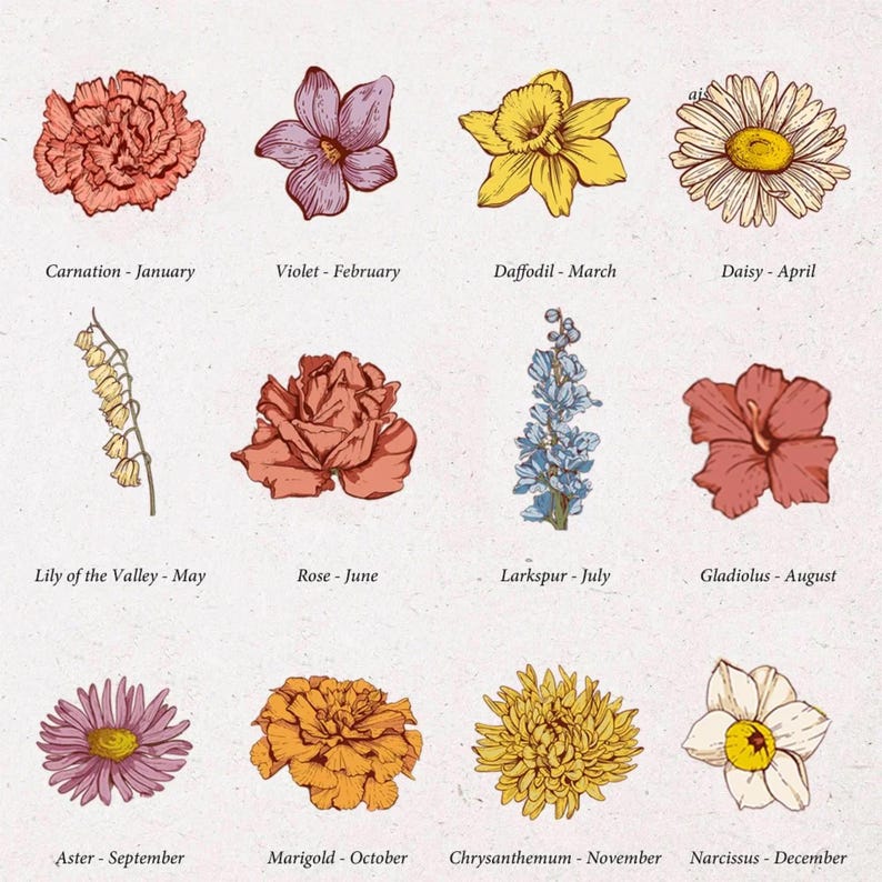 May include: A botanical illustration featuring twelve different flowers, each representing a month of the year. The image includes a carnation, violet, daffodil, daisy, lily of the valley, rose, larkspur, gladiolus, aster, marigold, chrysanthemum, and narcissus.