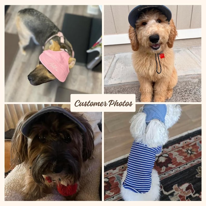 May include: Four dogs wearing different styles of hats. The dogs are all different breeds and sizes. The hats are all different colors and styles. The dogs are all looking at the camera.