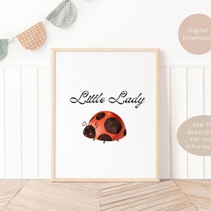 May include: A framed print with a cartoon ladybug design. The ladybug has a red shell with brown spots. The words "Little Lady" are written above the ladybug in a stylish font. The frame is made of light wood.