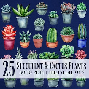 Aquarel vetplant en cactus-clipartpakket | Illustratie kamerplant | Schattige bohoplanten om te knutselen, planner, posts op sociale media, marketing