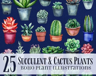Watercolor Succulent & Cactus Clip Art Pack | House Plant Illustration | Cute Boho Plants for Crafts, Planner, Social Media Posts, Marketing
