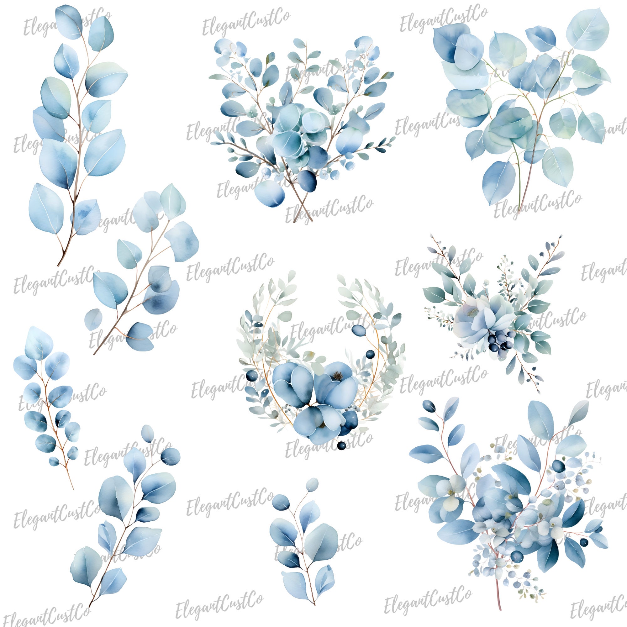 Baby Blue Eucalyptus Watercolor Clipart Watercolor Greenery - Etsy