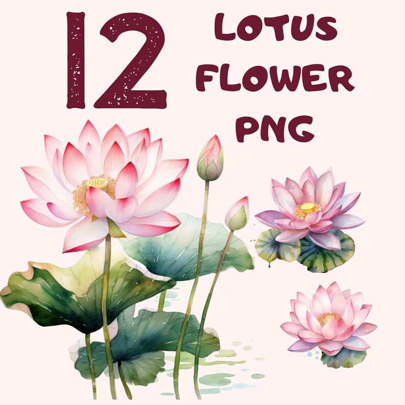 12 Lotus Flower Clipart Svg Png Watercolor Flower Clipart - Etsy