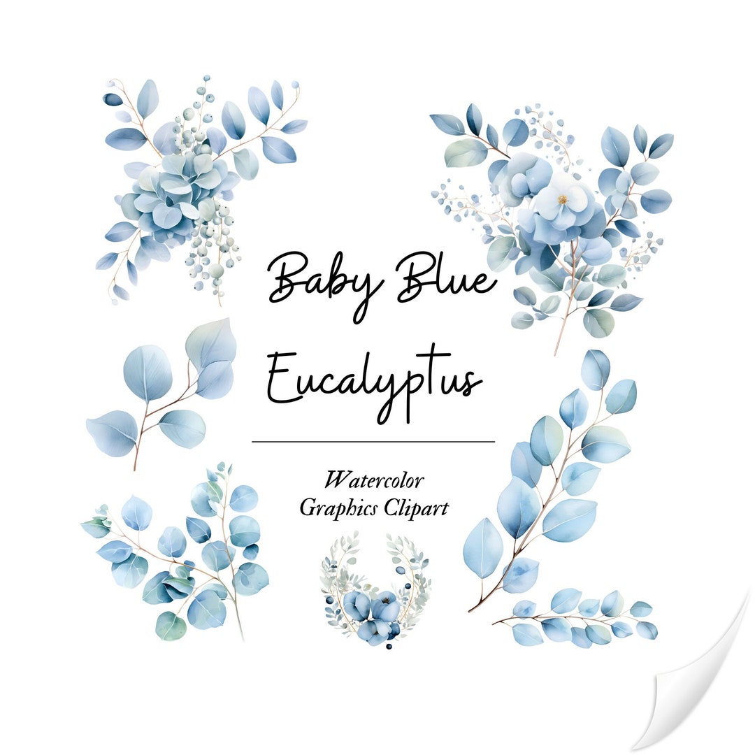 Baby Blue Eucalyptus Watercolor Clipart Watercolor Greenery - Etsy