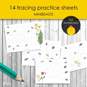 Mini beast line tracing worksheets nature activity for preschool fine motor skills