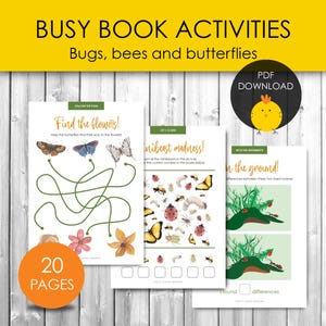 Activiteitenpakket insecten, bijen en vlinders voor voorschoolse lente- en zomeractiviteiten