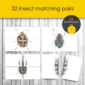Puzzle di simmetria di abbinamento di insetti / Attività di abbinamento della natura Bambini / Attività sulla natura / Primi anni / Gioco sulla natura / Gioco di carte di abbinamento Minibeast