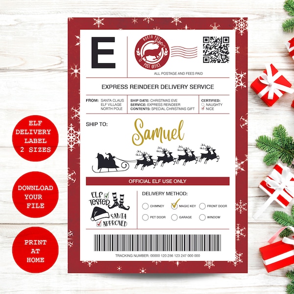 Santa Shipping Label | Santa Mail Label | Elf Mail Shipping Label | Editable Santa Shipping Label | Christmas Special Delivery Label