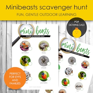 Może przedstawiać: Drukowana gra w poszukiwanie skarbów w naturze zatytułowana "Minibeasts" z tekstem "Fun, Gentle Outdoor Learning". Projekt zawiera ilustracje owadów, takich jak motyle, pszczoły i pająki. Zawiera grafikę "PDF Download".