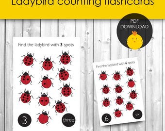 Ladybird Number Flash Cards: Counting Game (PDF)