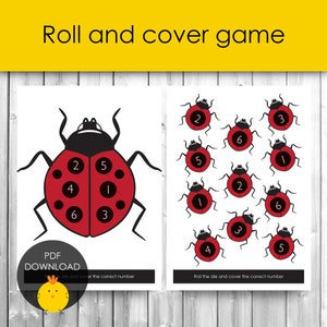 Ladybird roll, count and cover number activity for preschool