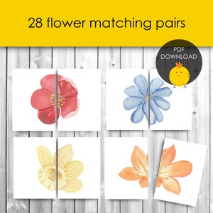 May include: A set of 28 printable flower matching cards. The cards feature watercolor illustrations of various flowers, including red, blue, yellow, and orange flowers. The cards are designed for children to practice matching skills.