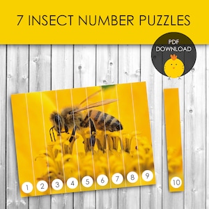 Puzzel voor het tellen van insectennummers voor voorschoolse wiskunde