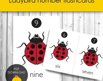 Ladybird Number Recognition Flashcards for Preschool Early Years Maths Minibeasts Theme