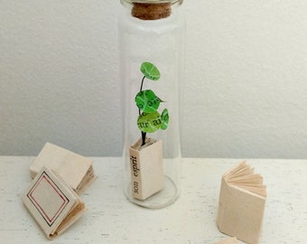 Miniatur-Pilea-Pflanze und Papierbuch in einem kleinen Glasfläschchen