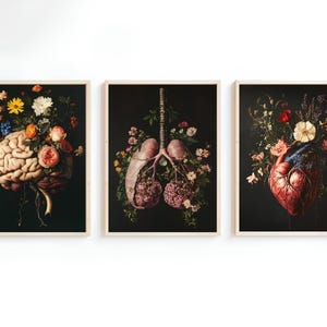 Könnte beinhalten: Drei gerahmte Drucke mit dunklem Hintergrund. Jeder Druck zeigt ein menschliches Organ, umgeben von Blumen. Der erste Druck zeigt ein Gehirn, der zweite Druck zeigt Lungen und der dritte Druck zeigt ein Herz.