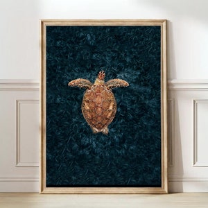 Sea Turtle Print Turtle Poster Sea Print Sea Wall Art Animal Print Animal Wall Art Nursery Print Sea Creatures Decor