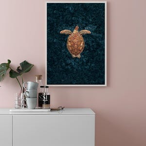 May include: A framed print of a sea turtle swimming in a dark blue ocean. The turtle is brown and has a light brown shell.