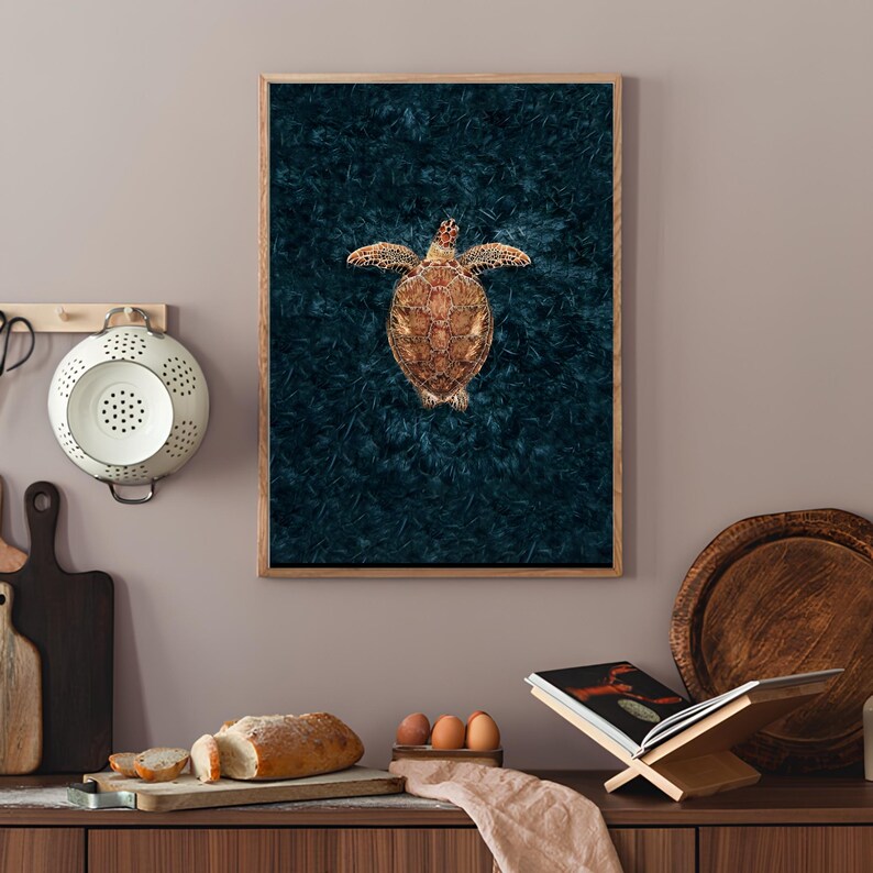 May include: A framed print of a sea turtle on a dark blue background. The turtle is facing upwards with its shell visible.