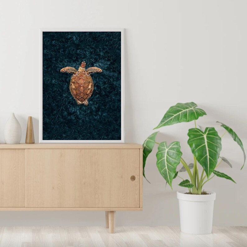 May include: A framed print of a sea turtle on a dark blue background. The turtle is facing upwards with its shell visible.