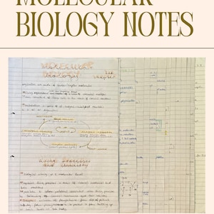 Notes de biologie de l'IBDP, chapitre 2 (biologie moléculaire)