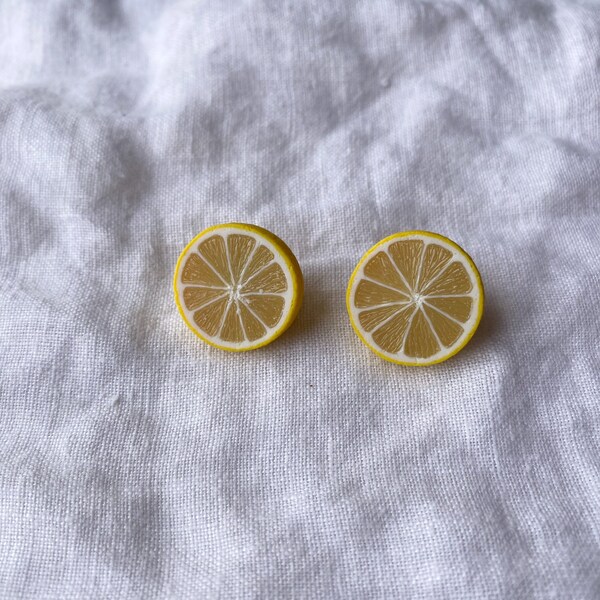 Polymer Clay Fruit Slice Stud Earrings Etsy