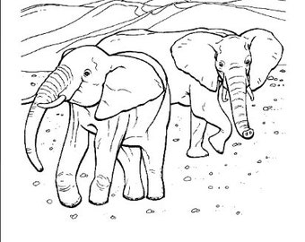 90+ Pages Wildlife Wonders Coloring Pages| Coloring Book| Kids Colouring Pages| Digital Art |Colouring Pages For Kids| Colouring Books
