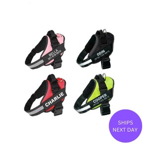 Personalized Reflective Dog Harness with Custom Name and Phone Number, No Pull Harness Adjustable, Easy on Small, Medium and Large Dog
