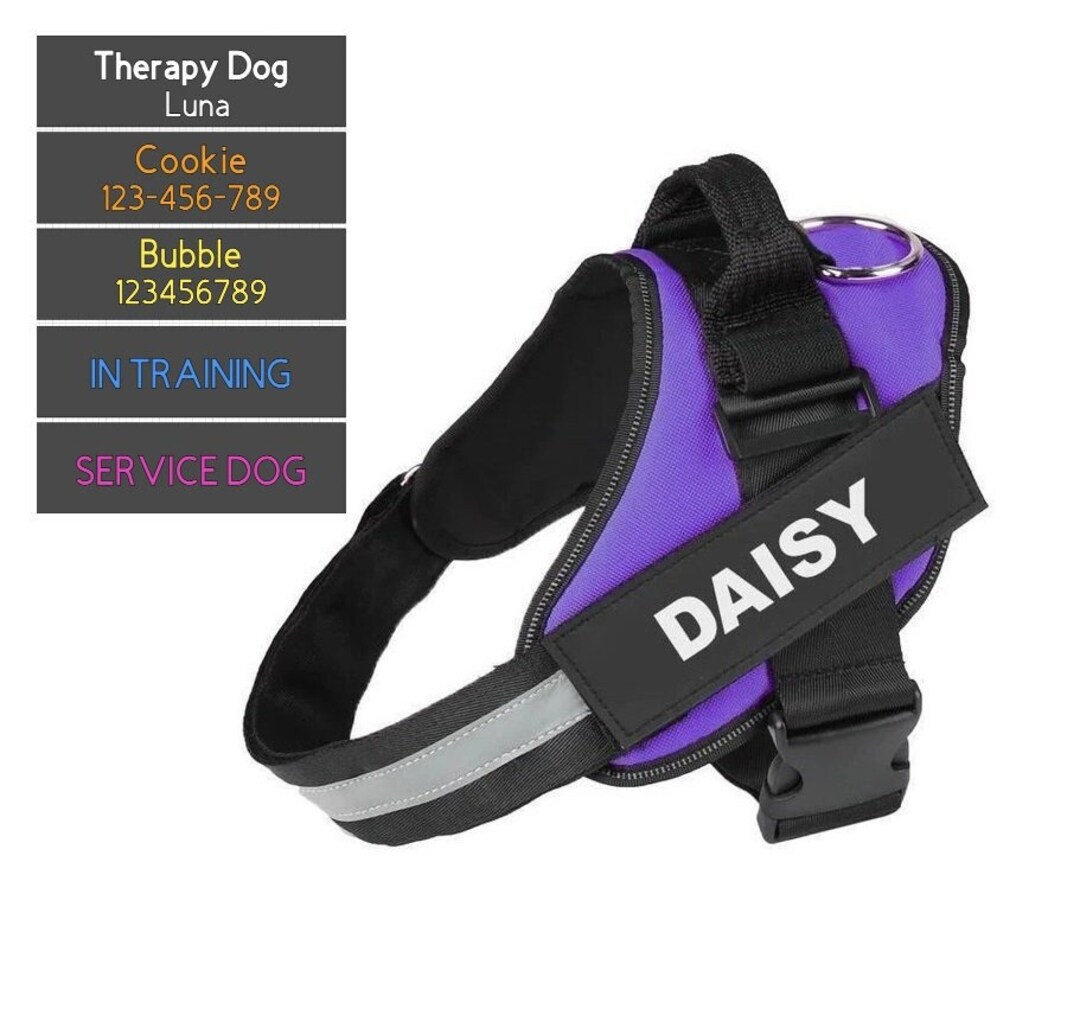 Personalized Reflective Dog Harness With Custom Name, Phone Number and